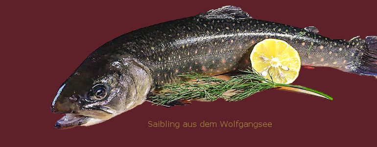saibling_770_HG-weinrot.jpg